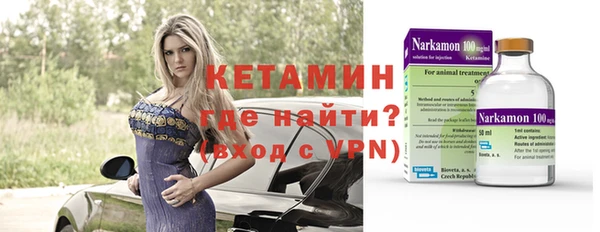 индика Алзамай