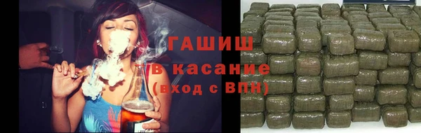 индика Алзамай