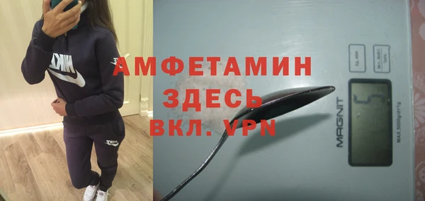индика Алзамай