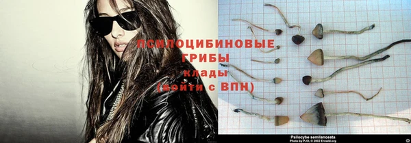 индика Алзамай