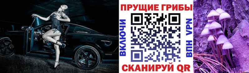 мега зеркало  где найти наркотики  Тара  Галлюциногенные грибы мицелий 